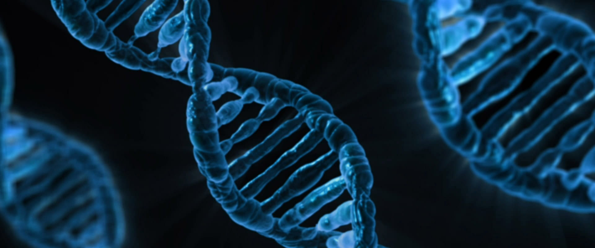 河南崇一生物医药有限公司